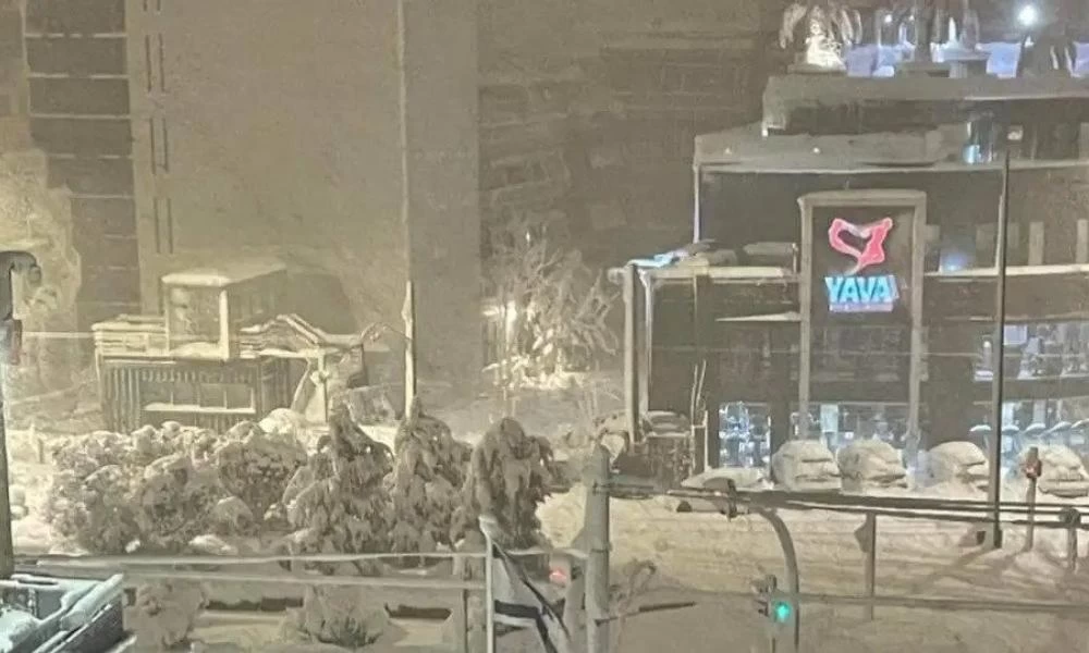 Κακοκαιρία Ελπίς: Η πυκνή χιονόπτωση "λύγισε" ακόμα και δέντρα-Από θαύμα δεν υπήρξαν τραυματισμοί